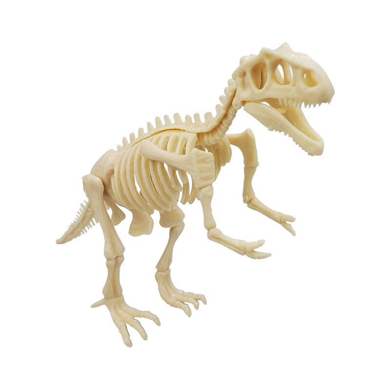 Kit de Escavação de Fósseis de Dinossauros