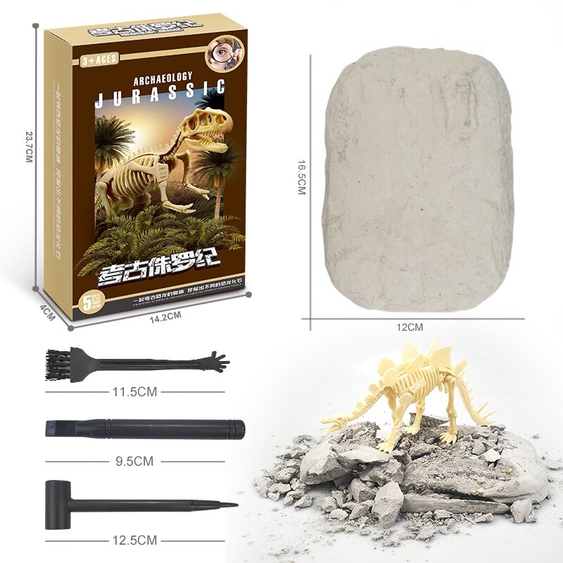 Kit de Escavação de Fósseis de Dinossauros