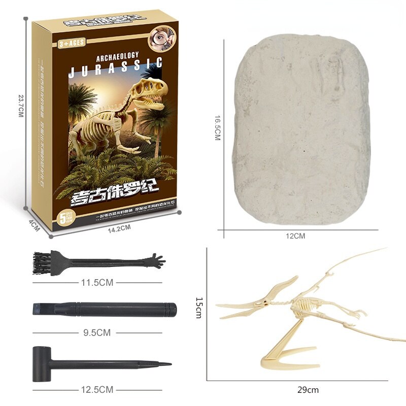 Kit de Escavação de Fósseis de Dinossauros