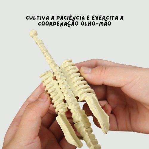 Kit de Escavação de Fósseis de Dinossauros